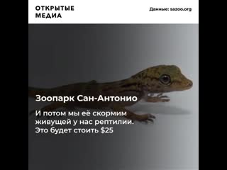 free перед 14 февраля зоопарк предлагает назвать таракана в честь былой любви hd