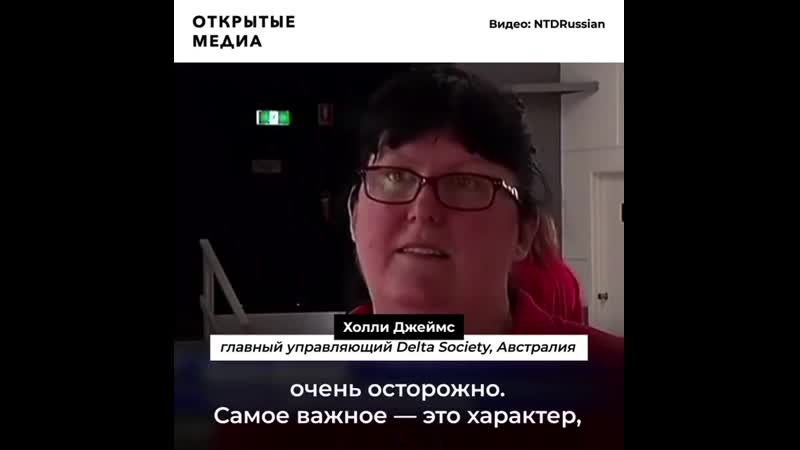 free молодые терапевты помогают пожилым людям пережить карантин hd