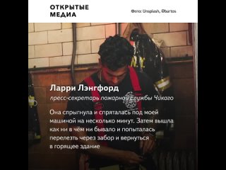 free кошка в сша спрыгнула с пятого этажа горящего здания и не пострадала hd