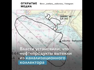 free нефтепродукты попали в чёрное море у берегов туапсе hd