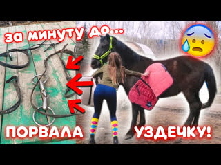 free лошадь порвала уздечку буду ли заниматься с мартини дальше hd