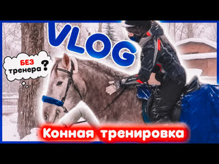 free конная тренироа без тренера примеряю обнои vlog в конюшне hd