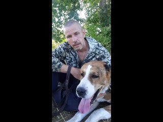 free питомник зур баши клещи наиболее активны только в летний период правда или ложь hd