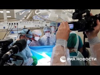 free российские врачи впервые в мире провели перфузию химиопрепаратами для лечения опухоли головного мозга примата hd