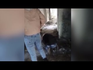 free 18 молодые из приморья избили школьницу стоящую на коленях hd