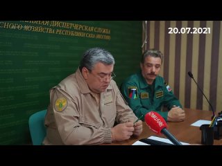 free заместитель руководителя рослесхоза александр агафонов о лесопожарной обстаное в республике hd