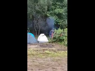 free поляки возмущаются что белорусские пограничники регулярно кормят мигрантов которые застряли на границе с польшей hd