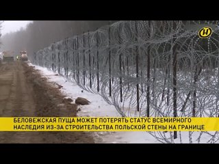 free беловежская пуща может потерять статус объекта всемирного наследия юнеско hd
