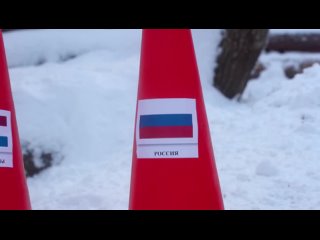 free в московском зоопарке предложили пандам выбрать победителей олимпиады в пекине hd