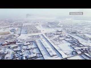 free собачий террор как бездомные псы стали главными хищниками россии hd