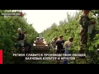 free что получает россия и что теряет украина после референдумов hd