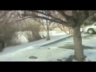 free худенькая молодка не стесняется снимать порнуху анал вписка слив мраком куни минет отсосала домашнее любительское hd