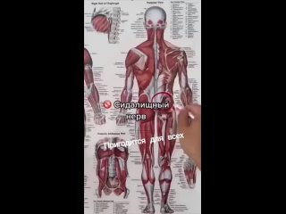 free можем взять на заметку сохрани чтобы не потерять hd