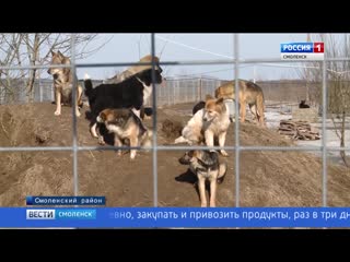 free распутица отрезала смоленский приют для молодые от большой земли hd