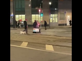 free в центре москвы робот курьер от яндекса остановил движение трамвая не злите курьеров роботов hd