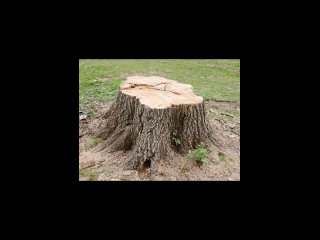 free мы слишком мало знаем о нашей планете hd