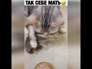 free сначала мать пробует типатебе еще вредно малой для здоровья hd