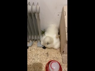 free приятно смотреть подобные роликина лице невольно улыбка появляется hd