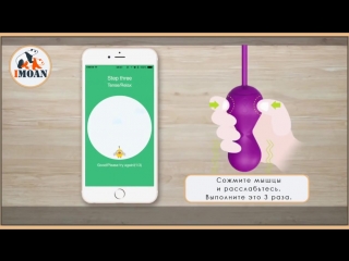 free как работать с тренажером кегеля gballs 2 app на русском языке hd