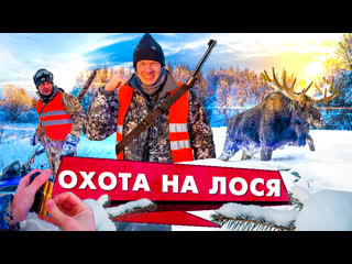 free загонная охота на лося что самое важное на охоте как добыть зверя советы бывалых охотников hd