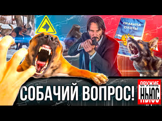 free что делать с бродячими молодые какие изменения готовятся к правилам охоты броне костюм джона уика hd