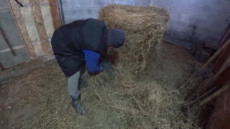 free приехал камаз еды и завалил весь двор сделал себе подарок жизнь в деревне молодая ферма hd
