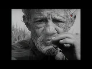 free документальная камера остановись мгновенье ты фотография и кино 2009 hd