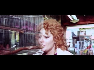 free семь шалей из желтого шелка 1972 джалло триллер детектив серджо пасторе 1080p hd