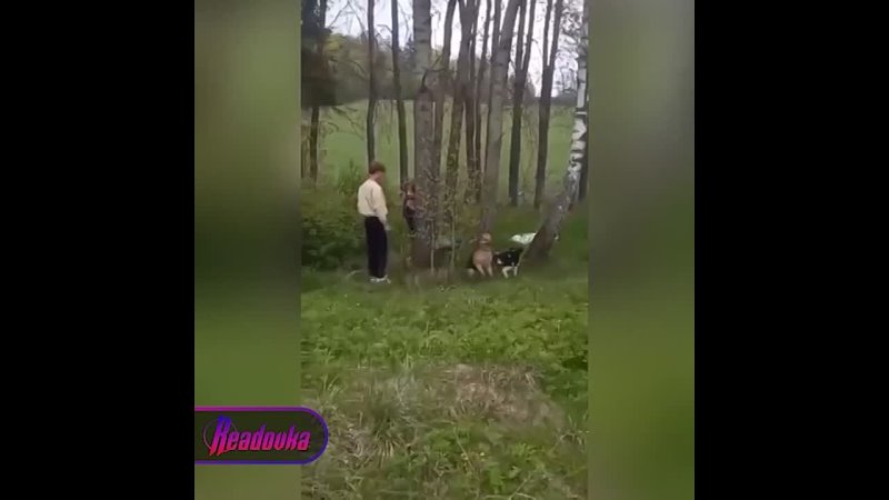 free в беларуси женщина с парнем на трассе привязали молодые к деревьям и оставили их умирать hd