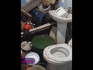free господи это молодые дохлая в ялте в квартире скончавшейся женщины обнаружены десятки живых и мертвых секс hd