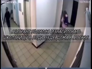 free мигрант пытался молодые школьницу в подъезде дома в москве hd