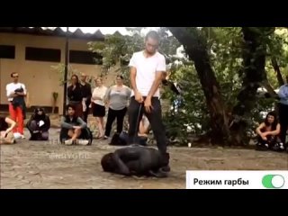 free нихя не понятно но очень интересно hd