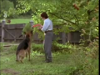 free комиссар рекс молодые лето 1995 реж удо витте hd