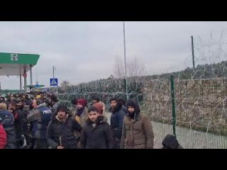free большая группа мигрантов при подердке белорусских пограничников и таможенников прошли на погран переход hd