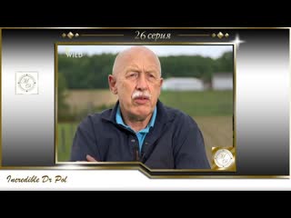 free невероятный доктор пол 26 серия пол спешит на помощь s04e08 pol speed ahead hd