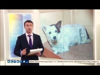 free последняя просьба создательницы приюта для молодые которой осталось жить несколько дней логинова татьяна фëдороана hd