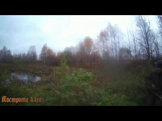free доброго бодрого утра крайняя вылазка в лес без добычи но очень душевно и позитивно hd