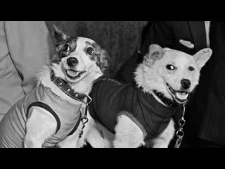 free люди берегитесь стоит ли это колоть сомнений не останется послушайте до конца и всё поймете hd