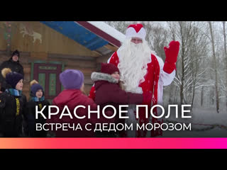 free в парке красное поле новгородцы нарядили елку и встретили деда мороза hd