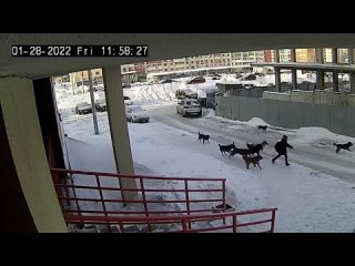 free город уфа если бы не дворник все бы могло закончится плачевно hd
