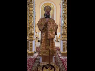 free конечность жизни не трагедия а возможность прожить её осознанно hd