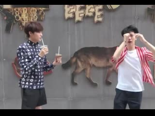 free yangyang and tens great teamwork hd