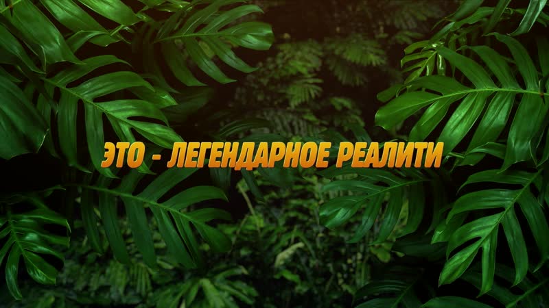 free реалити шоу последний герой зрители против звезд прямо сейчас на premier hd