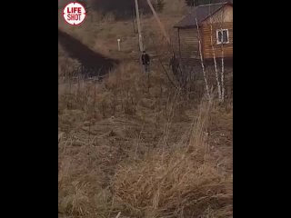 free эмоции у меня зашкаливали поэтому за маты извините hd