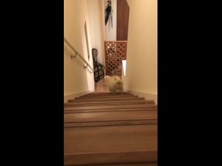 free pov тебя с другом позвали покушать пельмешей hd