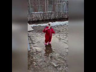 free как она лихо на попу прыгает и не плачетневаляшка hd