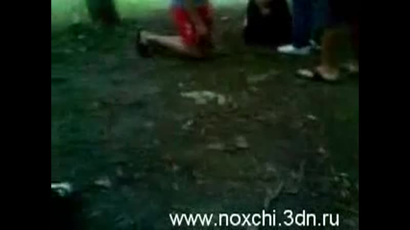 free чеченцы поставили хохлов на колени и заставили сказать хохлы говно hd