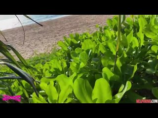 free после сладкого коктейля есть коктейль ещё усней надо только подоить hd