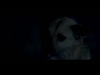 free социальный ролик бездомные молодые 2 тыс видео найдено в яндекс видео о mp4 hd