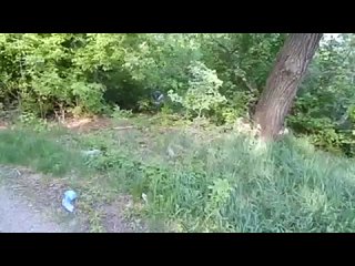 free коллекция палева порно инцест домашнее спалились завет подсмотрено треш русское прон трах анал минет зрелая домашнее hd